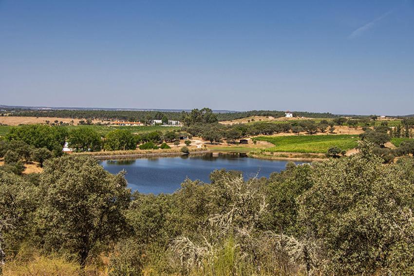 Herdade Do Gamito Crato Eksteriør billede